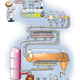 Illustration for article titled ABC of Nutrition - D, part 1